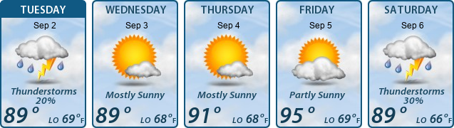5-Day Forecast